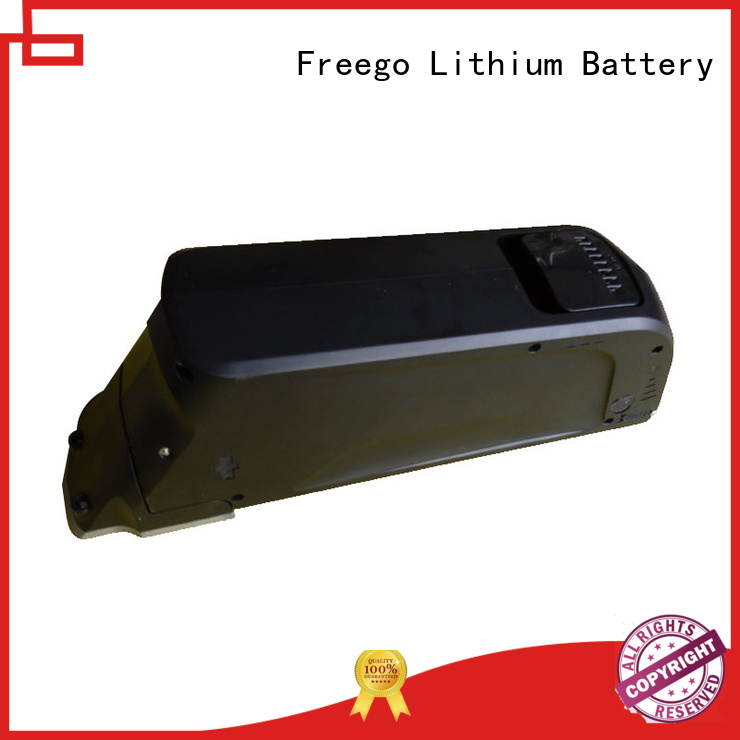 buy e bike battery online